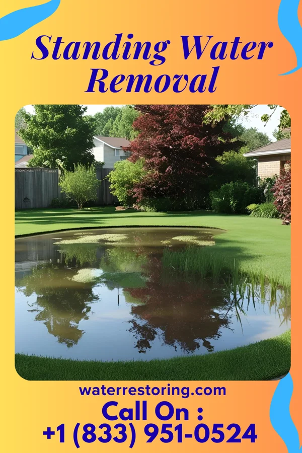 Standing Water Removal in Prairie Creek, AR